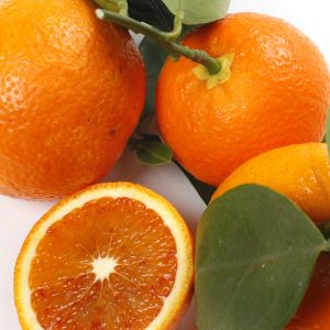 Strawberry Sweet Orange (Citrus sinensis)