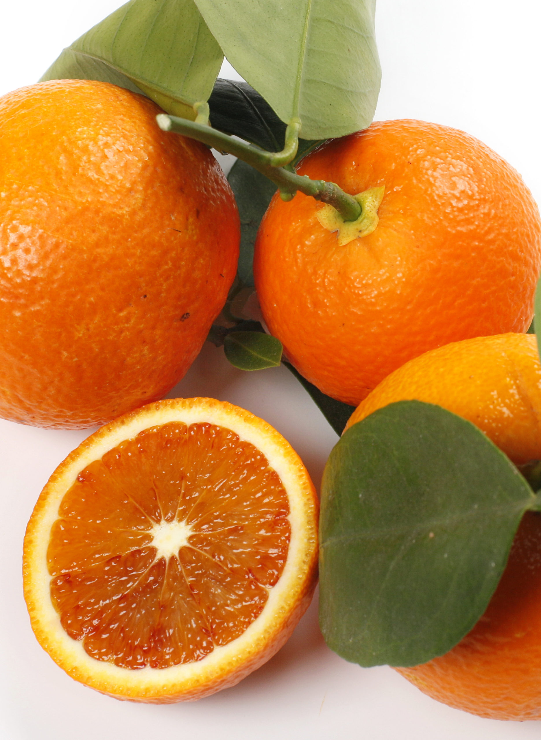 Strawberry Sweet Orange (Citrus sinensis)