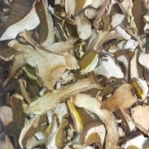 Funghi Porcini Commerciali (al cestino)