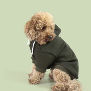 United Pets Felpa Bull tg 50