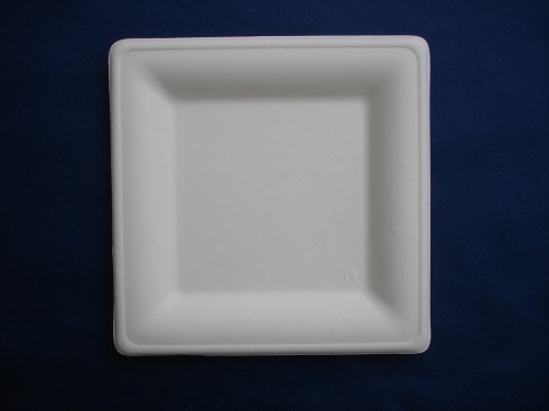 Piatti quadrati elegance biodegradabili e compostabili da cm 16×16 – Pacco da 25 pezzi - immagine 2
