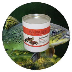 Carne disidratata di trota