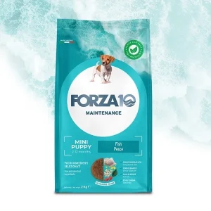 Crocchette per Cani Cuccioli Forza10 Maintenance Puppy Taglia Piccola Gusto Pesce 2kg