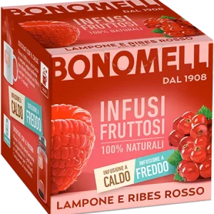 Bonomelli Infusi Fruttosi Lampone e Ribes Rosso Confezione da 12 filtri Gusto Rinfrescante e Lievemente Acidulo Infusione a Caldo e a Freddo Ingredienti 100% Naturali (24g)