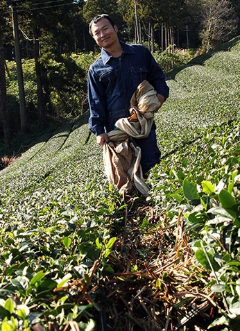 Tè hojicha affumicato con legno di barili di whisky – 50gr - immagine 2