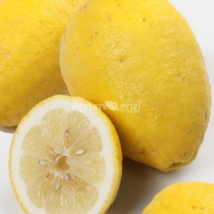 Borneo Lemon (Citrus limon)
