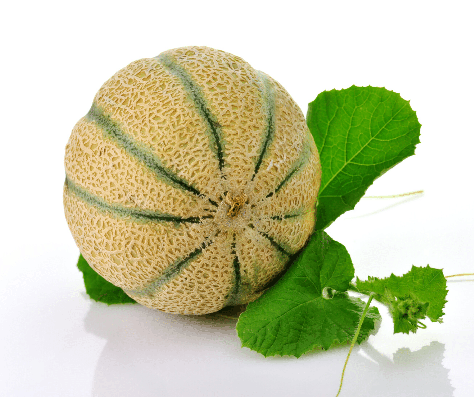 Melone Retato 1 frutto da 1,5 kg - immagine 4