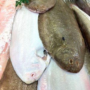 Sogliole grandi